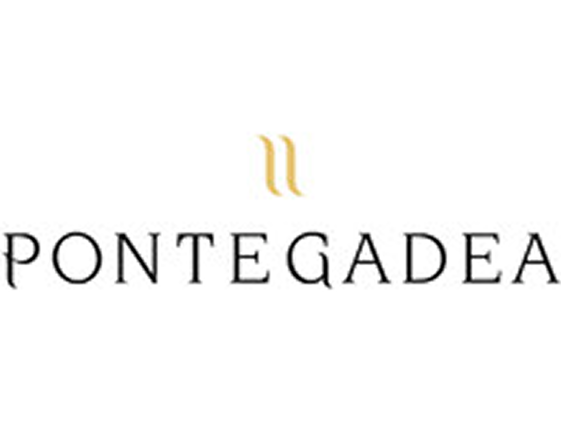 PONTEGADEA LOGO