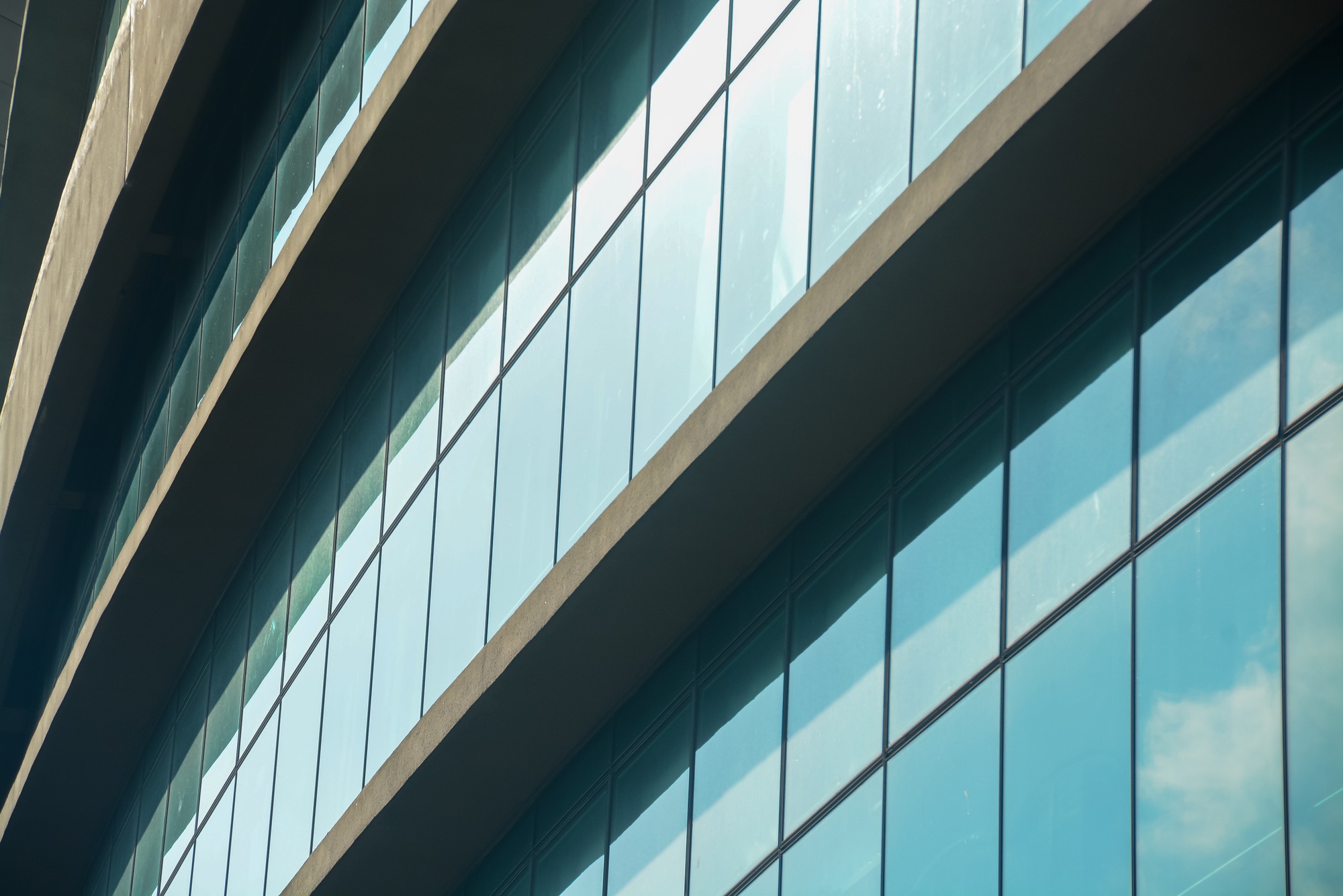 Curtain walling, integrated with solar window films, enhances the energy efficiency of the building